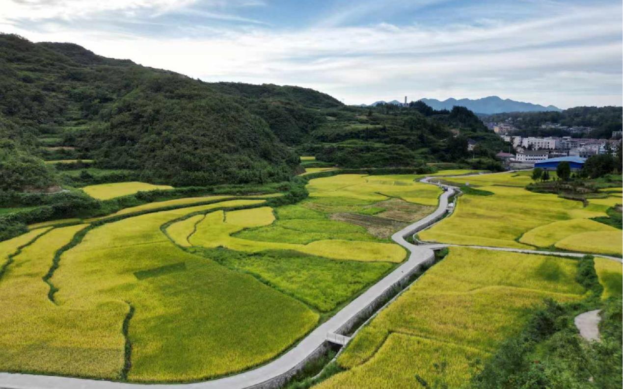 永利集团·yl8cc(中国游)官方网站