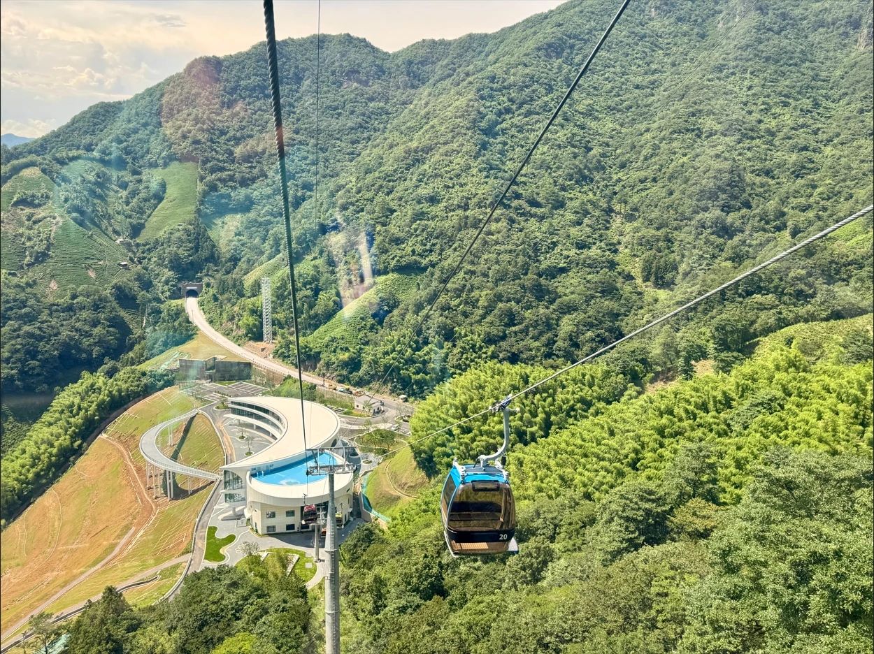 永利集团·yl8cc(中国游)官方网站