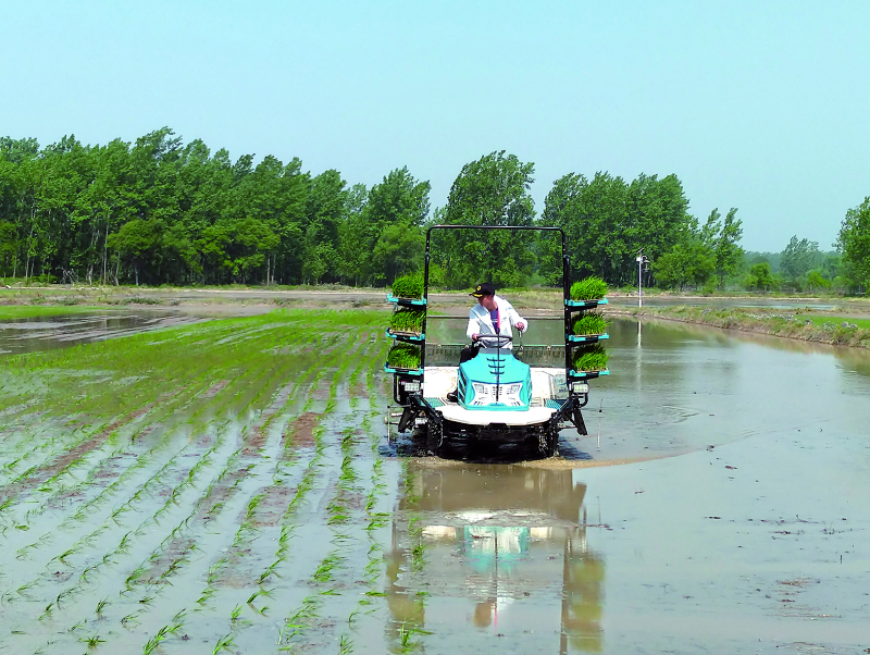 永利集团·yl8cc(中国游)官方网站