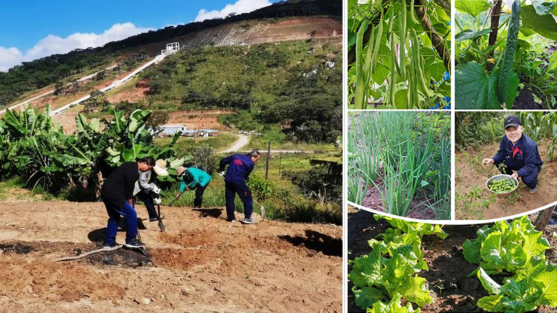 永利集团·yl8cc(中国游)官方网站